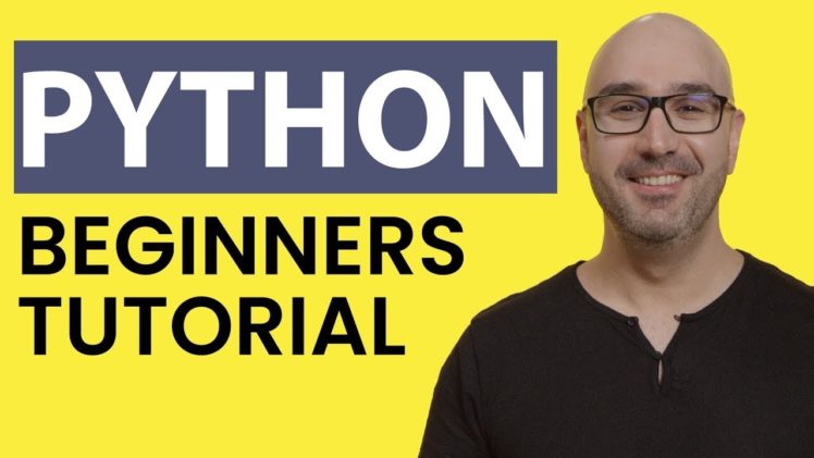 Python Tutorial for Beginners | Assets Games